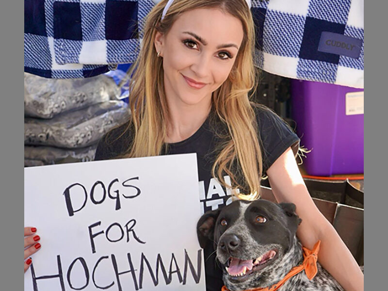 dogs for hochman featured